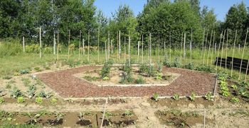 Odpiramo sezono na Medovitem učnem vrtu na Grbi