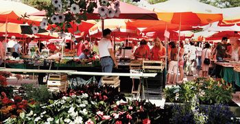 Delovanje ljubljanskih tržnic