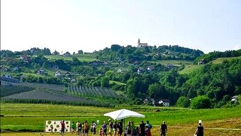 Podaljšanje javnega razpisa za dodelitev finančnih sredstev za ohranjanje in razvoj kmetijstva in podeželja v Mestni občini Novo mesto za leto 2020kmetijstvo