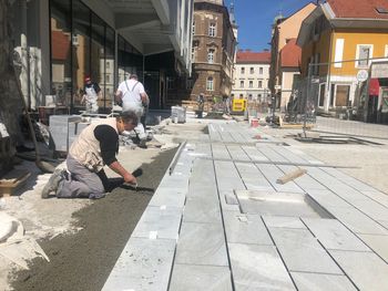 Obnovljeno Gubčevo ulico bodo krasile japonske češnje