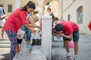 Pitniki na trasi Pohodov ob žici