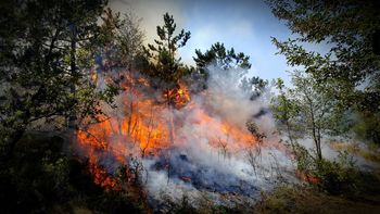 Preklic velike požarne ogroženosti naravnega okolja