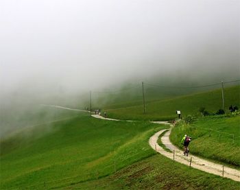 ANKETA: Priljubljenost turnega kolesarstva