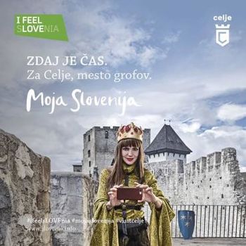 Skupna vstopnica Stari grad Celje in muzeji v mestu