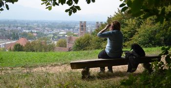 Strategija razvoja urbanih gozdov Ljubljane 2020 - 2030