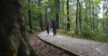 URBforDAN se poteguje za nagrado REGIOSTARS