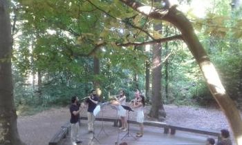 Nov pester teden Poletja v Celju