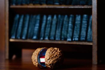 Miniaturne knjige iz zbirke dr. Martina Žnideršiča