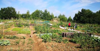 Dan odprtih vrat na medovitem vrtu na Grbi Dan odprtih vrat na medovitem vrtu na Grbi