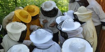 Izobraževanje čebelarjev v osrednjeslovenski regiji