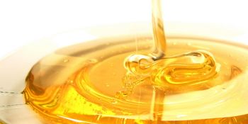 Karakterizacija čebeljih pridelkov