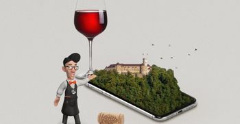 Sprehodite se po grajskih vinskih stezicah