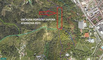 Urejamo za vas: sečnja pod Šišenskim hribom