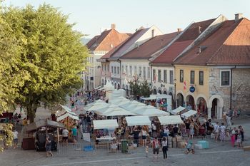 Odprta kuhna Novo mesto