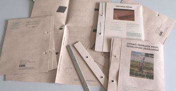 Izdelajte uporabne in zanimive izdelke iz invazivnih tujerodnih rastlin Izdelajte uporabne in zanimive izdelke iz invazivnih tujerodnih rastlin