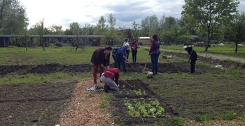 Jesenske delavnice za vrtičkarje na Rakovi jelši