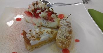 Kaj okusnega lahko skuhamo iz invazivnih tujerodnih rastlin?