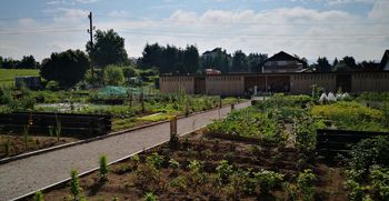 API delavnica na Grbi