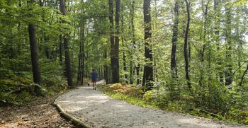 Znani so zmagovalci natečaja Ohranjamo zelena pljuča mesta