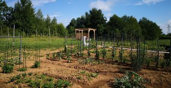 Oddajamo vrtičke na Grbi II