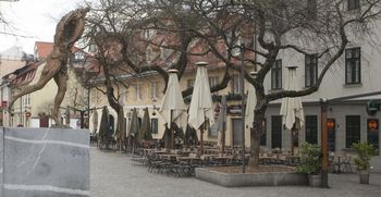 Obvestilo za najemnike poslovnih prostorov MOL