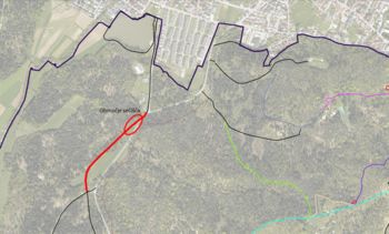 Sečnja ob kolesarski stezi ob Večni poti