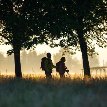 Obisk POT-i v vseh letnih časih Obisk POT-i v vseh letnih časih