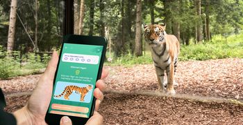 Video: Spoznajte živali z novo aplikacijo ZOOmeter