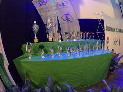 Sporočite rezultate za Športnika leta Ljubljane 2020