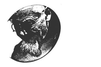 PLEČNIKOVA NAGRADA ZA LETO 2021