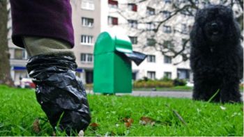 MIR Jesenice opozarja: Naj hišne in druge živali ne bodo moteče za okolico