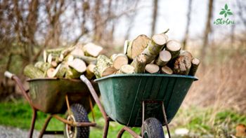 Dr. Nike Krajnc: Največja napaka je, da se za nakup lesnih goriv odločimo tik pred začetkom kurilne sezone