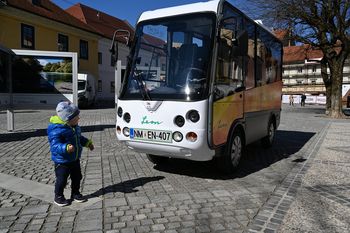 Leon v preobleki navdihnjeni s situlsko umetnostjo