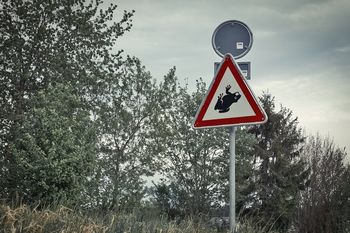 Preprečimo množične povoze dvoživk na cestah