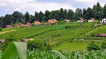 Krajevna izkaznica: KS Birčna vas