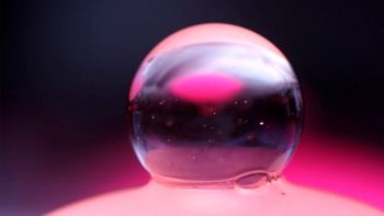 Novomeška knjižnica bo na pročelju gostila umetniško delo Privlačna sila