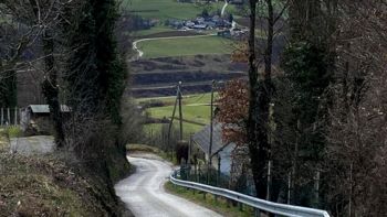 S sosednjima občinama bomo prenavljali lokalno cesto do Knežije