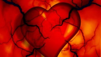 Ob evropskem dnevu žil o pomenu zdravega ožilja