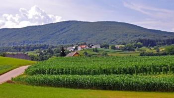 KS Birčna vas skozi fotografije