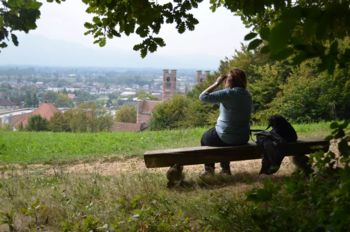 Človek, čuvaj svoj mestni gozd in ne puščaj sledi Človek, čuvaj svoj mestni gozd in ne puščaj sledi