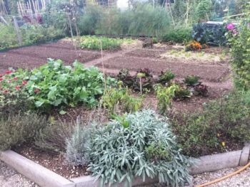 Spomladanske delavnice za vrtičkarje Spomladanske delavnice za vrtičkarje