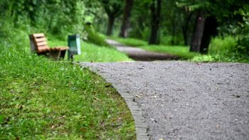 KS Bršljin skozi fotografije