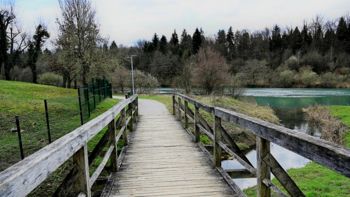 Kot poudarjajo na Ministrstvu za zdravje, je zdrava prehrana v najzgodnejšem obdobju pomembna za preprečevanje razvoja kroničnih nenalezljivih bolezni ter debelosti v odraslosti. Debelost zlasti otrok in mladih postaja vedno večji problem posameznika in d