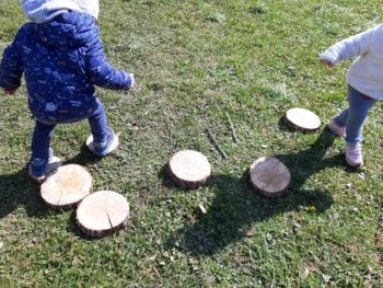 Rdečelistna bukev zdaj poučuje vrtčevske otroke