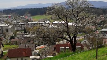 Krajevna izkaznica: KS Drska