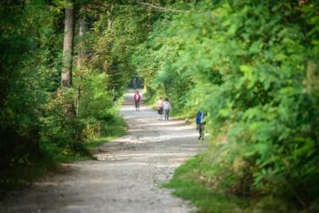 Ali ste vedeli: zakaj v naravi ne odmetavamo nobenih odpadkov, tudi bioloških ne?
