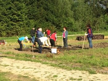 Kako zaščititi vrtnine pred nizkimi temperaturami? Kako zaščititi vrtnine pred nizkimi temperaturami?