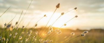 POLETNE ŠOLE 2021 POLETNE ŠOLE 2021