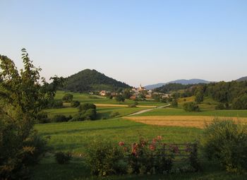 Krajevna izkaznica: KS Podgrad