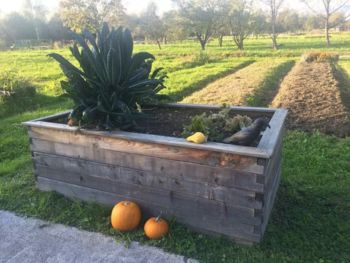 Na brezplačno delavnico po novo vrtičkarsko znanje